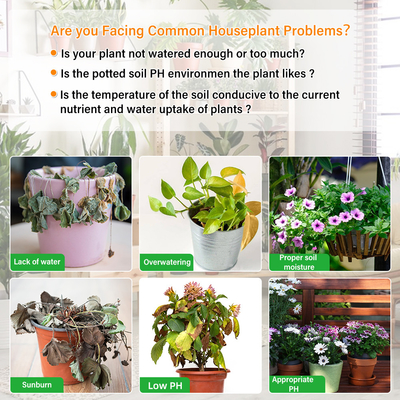 Détecteur de sol 6 en 1 complet: votre outil ultime pour le jardinage et les soins aux plantes
