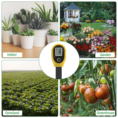 Dispositif de surveillance pratique de l'humidité du sol avec grand écran LCD et boîtier en plastique ABS