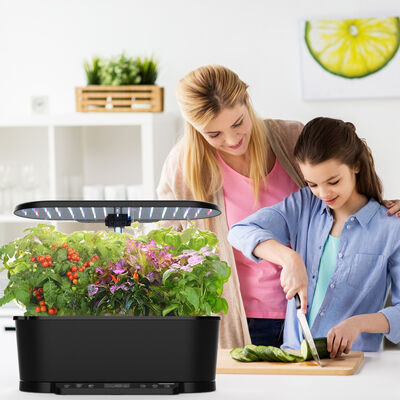 15 Pods Système hydroponique intelligent avec LED à spectre complet et circulation d'eau intelligente pour les plantes d'intérieur