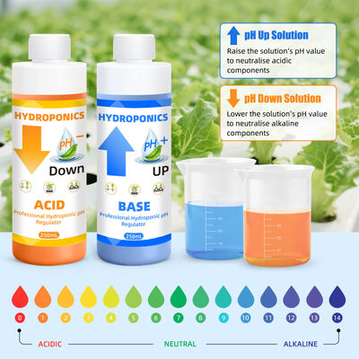 Kit de réglage du pH hydroponique avec une capacité de 250 ml pour une absorption optimale des nutriments végétaux et une formule stable