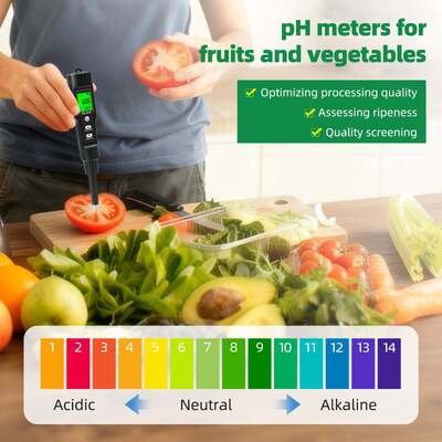 Testeur du pH du sol Azot Phosphore Potassium CE Fertilité Température de sol Humidité