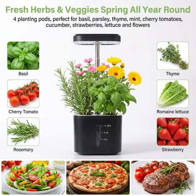 Mini-cultivateur hydroponique à 4 trous, planteur de légumes d'intérieur sans sol