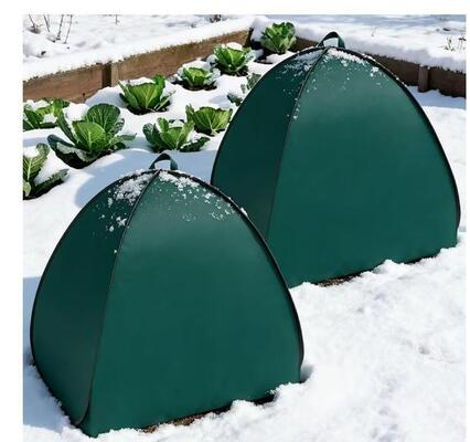 Tente de protection des plantes pliable pour l'hiver résistante aux gelées résistante aux vents et à la neige pour les jardins
